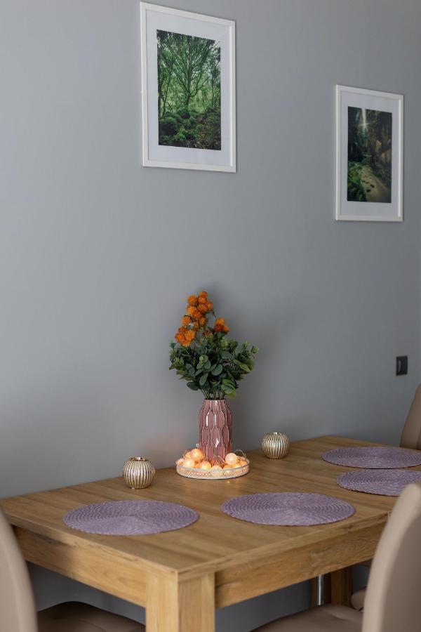 Apartament Silver Duszniki Zdroj Bagian luar foto